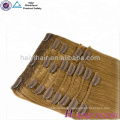 Wholesale Fast Delivery Thick Ends Cuticle Aligned Customize Clip In Hair Extension